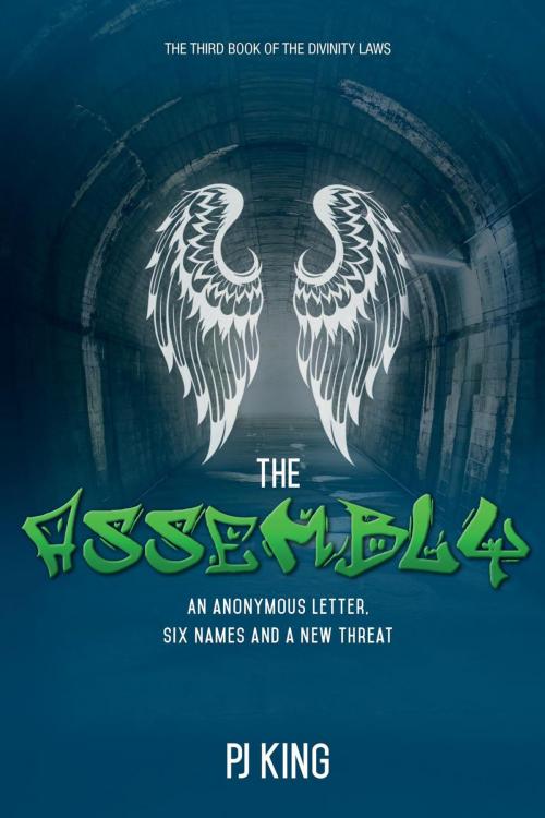Cover of the book The Assembly by PJ King, PJ King