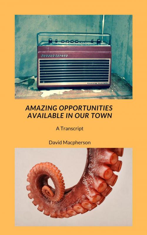 Cover of the book Amazing Opportunities Available in Our Town by David Macpherson, David Macpherson