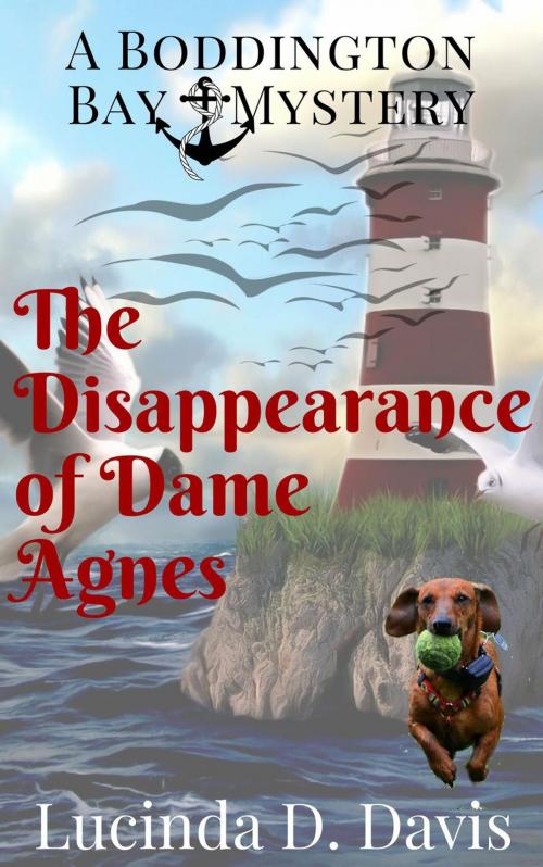 Cover of the book The Disappearance of Dame Agnes by Lucinda D. Davis, Lucinda D. Davis