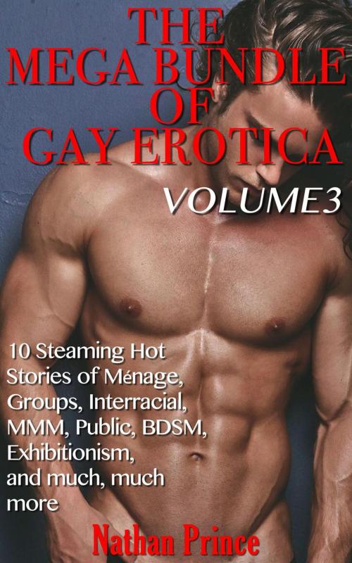 Cover of the book The Mega Bundle of Gay Erotica: Volume 3 by Nathan Prince, NP Publishing
