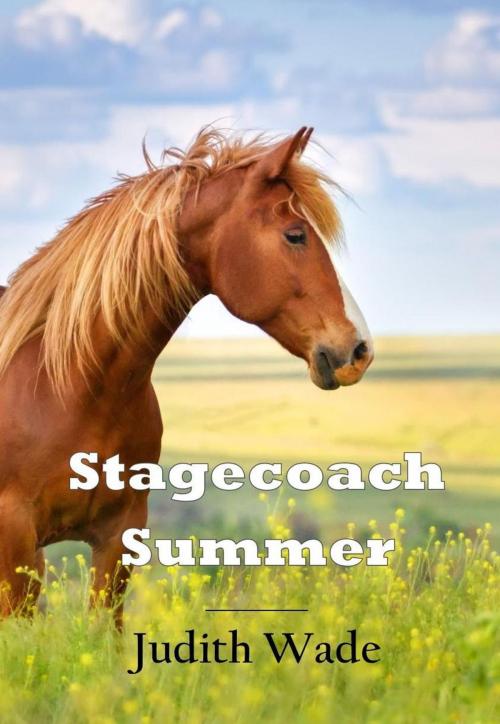 Cover of the book Stagecoach Summer by Judith Wade, Riley Press