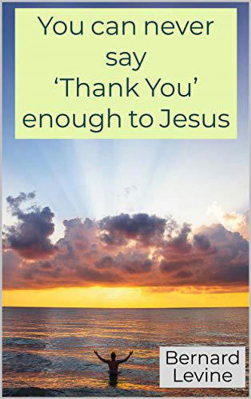 Cover of the book You can never say ‘Thank You’ enough to Jesus by Bernard Levine, Bernard Levine