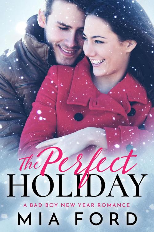 Cover of the book The Perfect Holiday by Mia Ford, Mia Ford