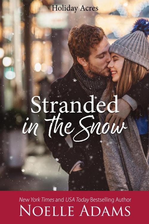 Cover of the book Stranded in the Snow by Noelle Adams, Noelle Adams