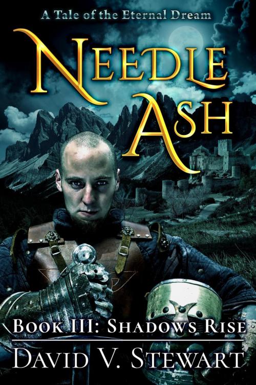 Cover of the book Needle Ash Book 3: Shadows Rise by David V. Stewart, David V. Stewart