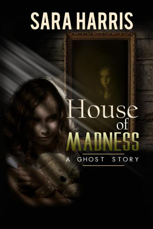 Cover of the book House of Madness by Sara Harris, WordCrafts Press