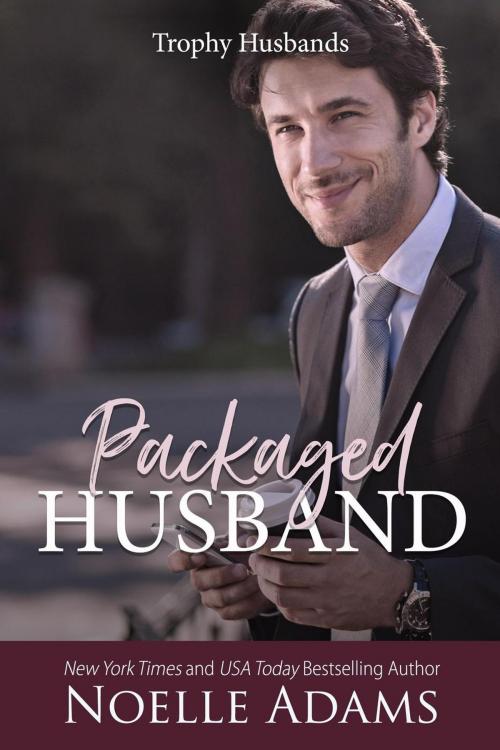 Cover of the book Packaged Husband by Noelle Adams, Noelle Adams