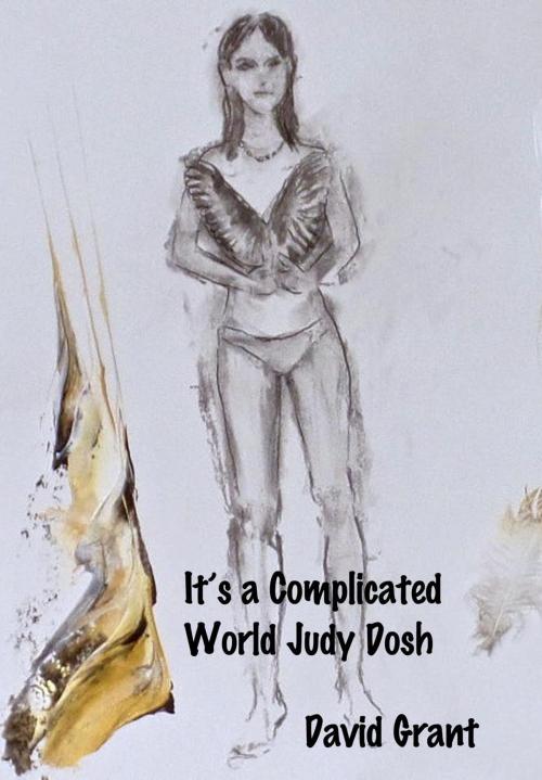 Cover of the book It's a Complicated World Judy Dosh by David Grant, David Grant