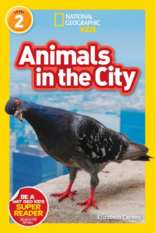 Cover of the book National Geographic Readers: Animals in the City (L2) by Elizabeth Carney, National Geographic Society