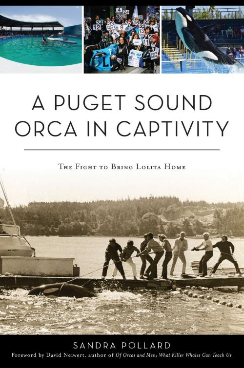Cover of the book A Puget Sound Orca in Captivity by Sandra Pollard, Arcadia Publishing Inc.