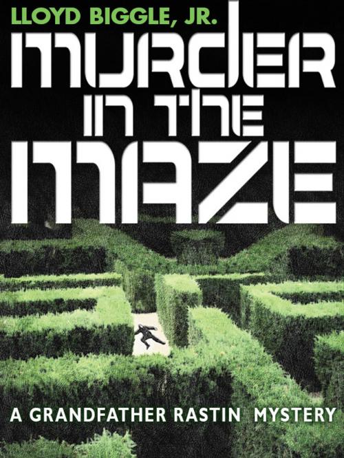 Cover of the book Murder in the Maze by Lloyd Biggle Jr., Wildside Press LLC