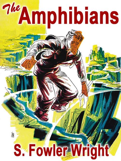 Cover of the book The Amphibians by S. Fowler Wright, Wildside Press LLC