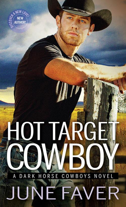Cover of the book Hot Target Cowboy by June Faver, Sourcebooks