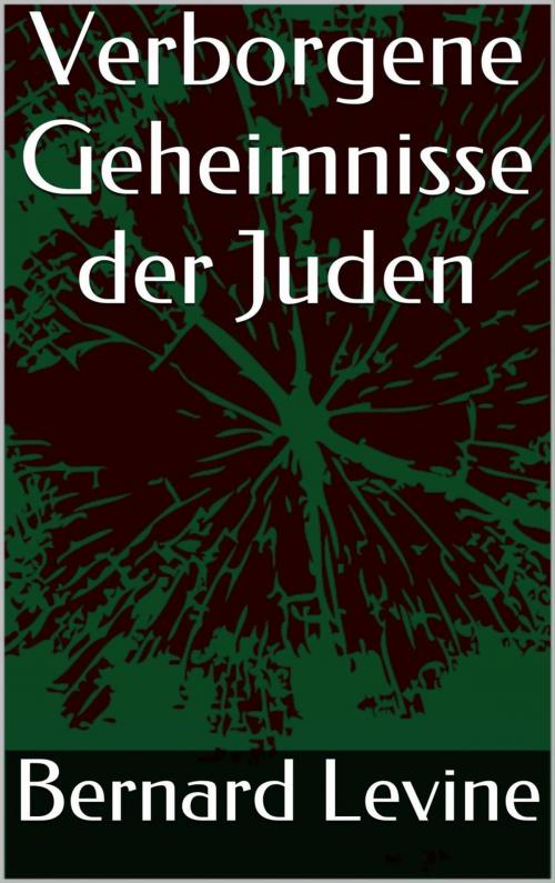 Cover of the book Verborgene Geheimnisse der Juden by Bernard Levine, Babelcube Inc.