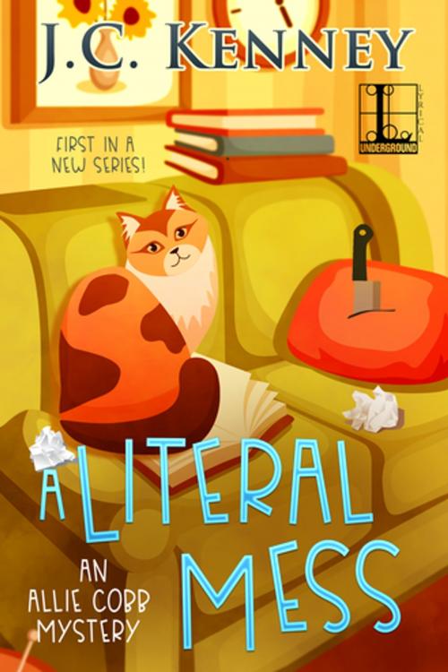 Cover of the book A Literal Mess by J.C. Kenney, Lyrical Press