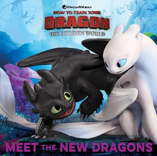 Cover of the book Meet the New Dragons by Maggie Testa, Simon Spotlight