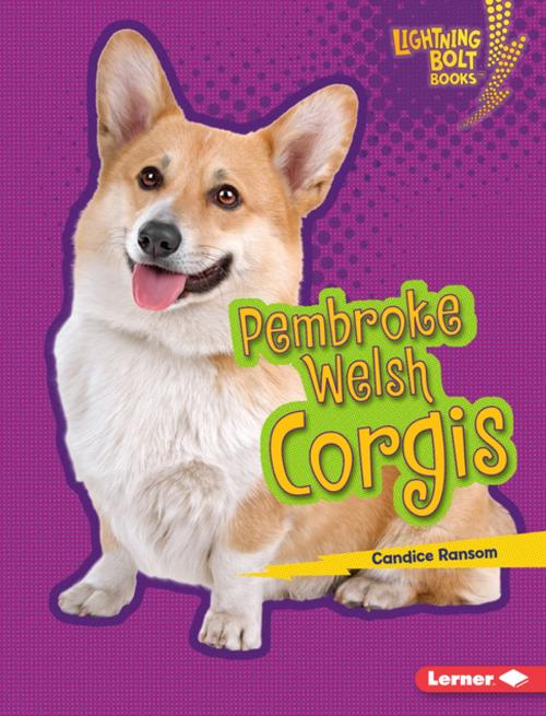 Cover of the book Pembroke Welsh Corgis by Candice Ransom, Lerner Publishing Group