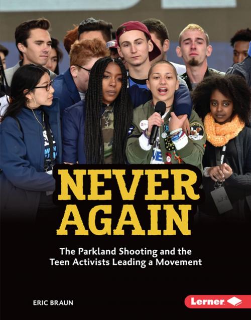 Cover of the book Never Again by Eric Braun, Lerner Publishing Group