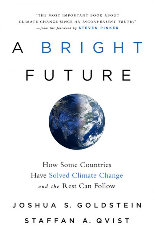 Cover of the book A Bright Future by Joshua S. Goldstein, Staffan A. Qvist, PublicAffairs
