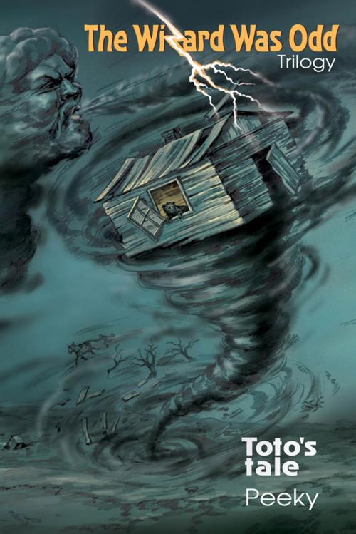 Cover of the book Toto's Tale by Robert (Bob) Moyer, Christian Stiehl, Anna Shpylevska, Ryan Durney, Maria Riega, Ruslan Vigovsky, BookBaby