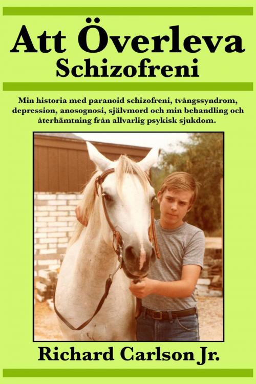 Cover of the book Att Överleva Schizofreni by Richard Carlson Jr., Babelcube Inc.