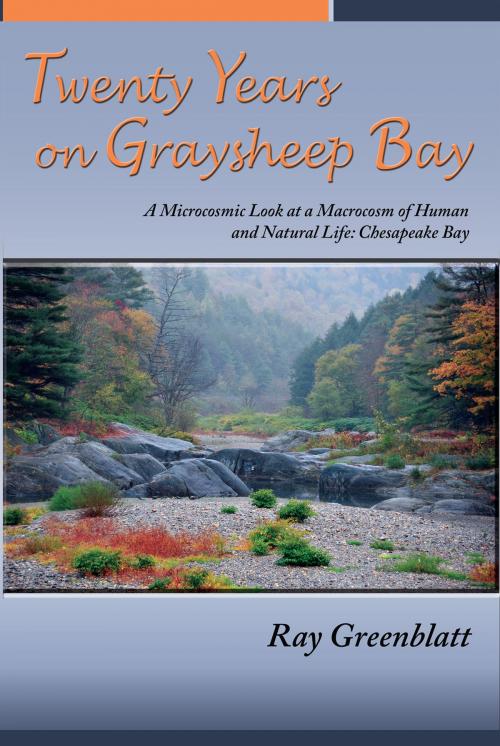 Cover of the book Twenty Years on Graysheep Bay by Ray Greenblatt, Sunstone Press