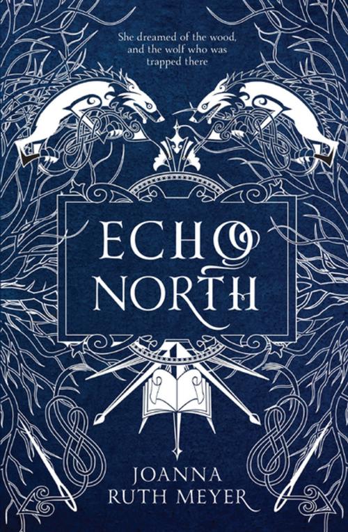 Cover of the book Echo North by Joanna Ruth Meyer, Page Street Publishing