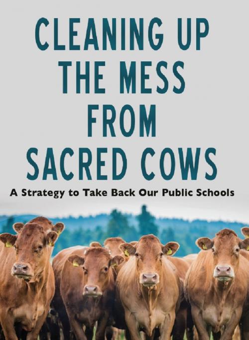 Cover of the book Cleaning Up the Mess from Sacred Cows by Corky O'Callaghan, Charlie Irish, Wheatmark, Inc.