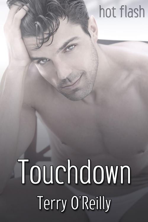 Cover of the book Touchdown by Terry O'Reilly, JMS Books LLC