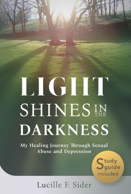 Cover of the book Light Shines in the Darkness by Lucille F. Sider, Amy Morgan, Arbutus Lichti Sider, Ronald J. Sider, Read the Spirit