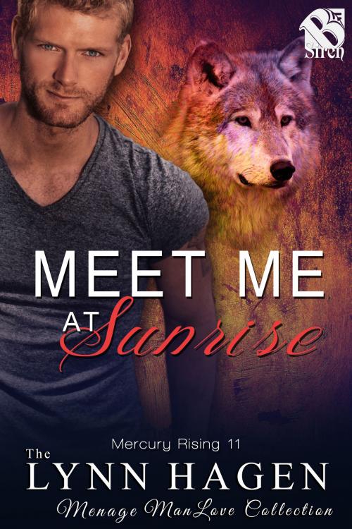 Cover of the book Meet Me at Sunrise by Lynn Hagen, Siren-BookStrand