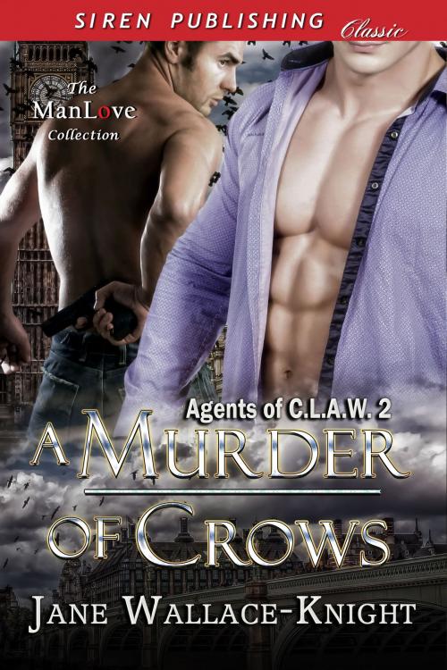 Cover of the book A Murder of Crows by Jane Wallace-Knight, Siren-BookStrand