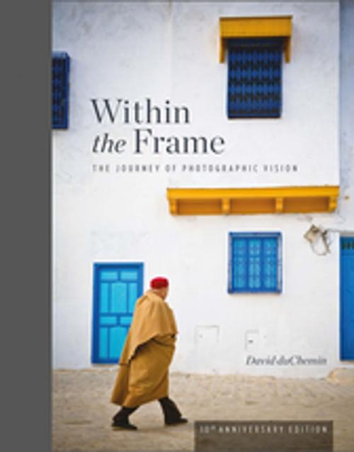 Cover of the book Within the Frame, 10th Anniversary Edition by David Duchemin, Rocky Nook