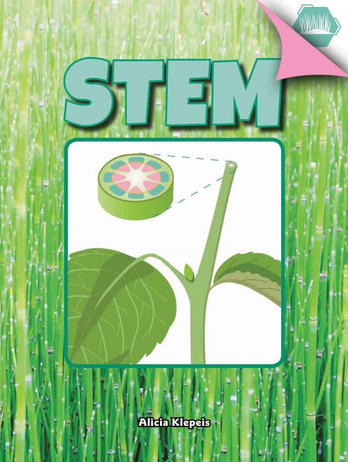 Cover of the book Stem by Alicia Klepeis, Rourke Educational Media