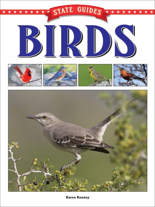 Cover of the book State Guides to Birds by Karen Kenney, Rourke Educational Media