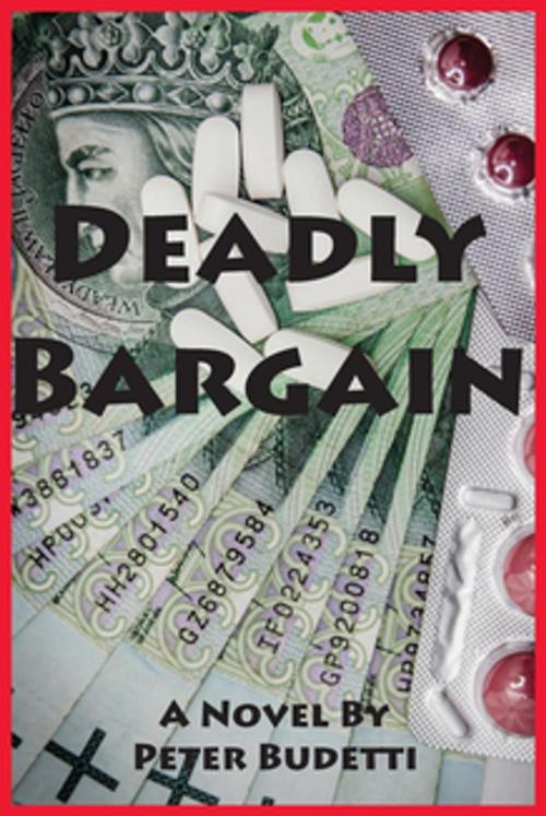 Cover of the book Deadly Bargain by Peter Budetti, Peter Budetti