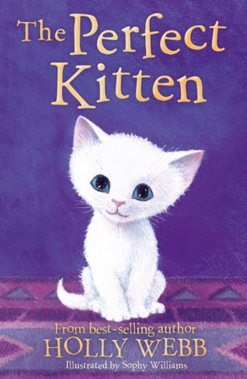 Cover of the book The Perfect Kitten by Holly Webb, Stripes Publishing