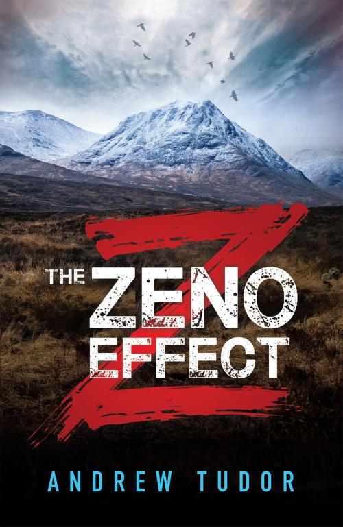 Cover of the book The Zeno Effect by Andrew Tudor, Troubador Publishing Ltd