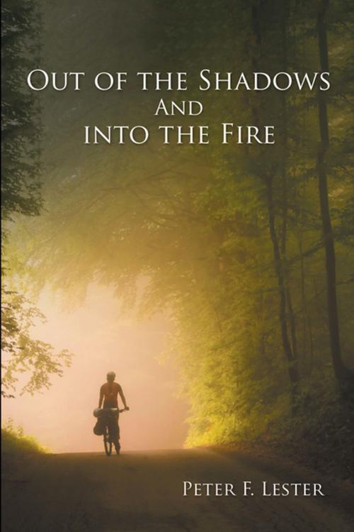 Cover of the book Out of the Shadows and into the Fire by Peter F. Lester, Xlibris US