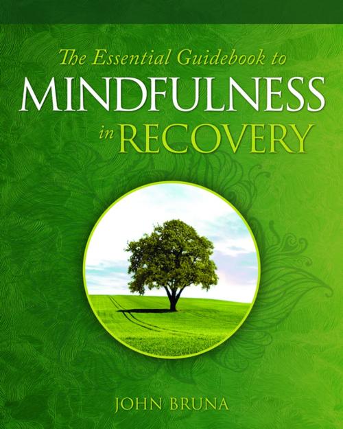 Cover of the book The Essential Guidebook to Mindfulness in Recovery by John Bruna, Central Recovery Press, LLC