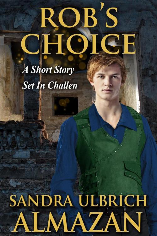 Cover of the book Rob's Choice by Sandra Ulbrich Almazan, Solar Unicorn Publishing