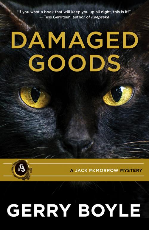 Cover of the book Damaged Goods by Gerry Boyle, Islandport Press