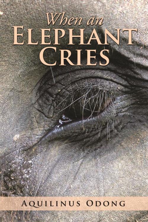 Cover of the book When an Elephant Cries by Aquilinus Odong, Coffee Press, Inc.