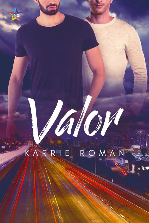 Cover of the book Valor by Karrie Roman, Nine Star Press