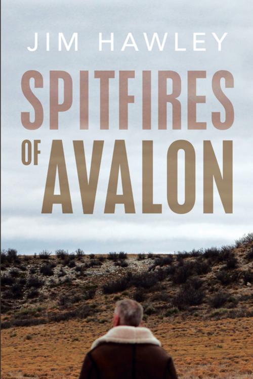 Cover of the book Spitfires of Avalon by Jim Hawley, Xlibris US