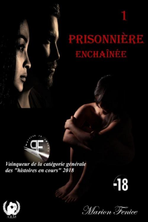 Cover of the book Prisonnière - Tome 1 by Marion Fénice, Art en Mots Éditions
