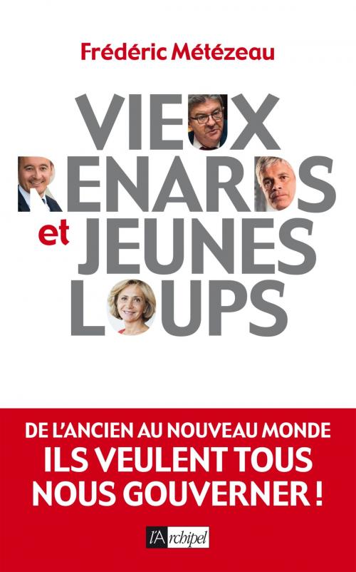Cover of the book Vieux renards et jeunes loups by Frédéric Métézeau, Archipel