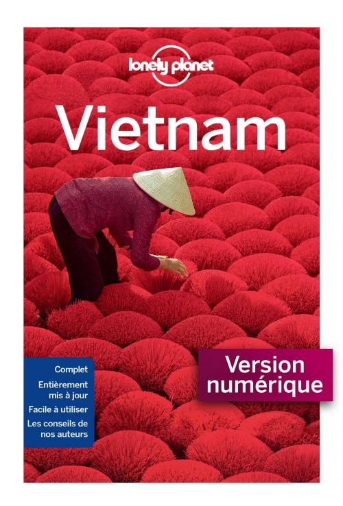 Cover of the book Vietnam 13 ed by LONELY PLANET FR, edi8