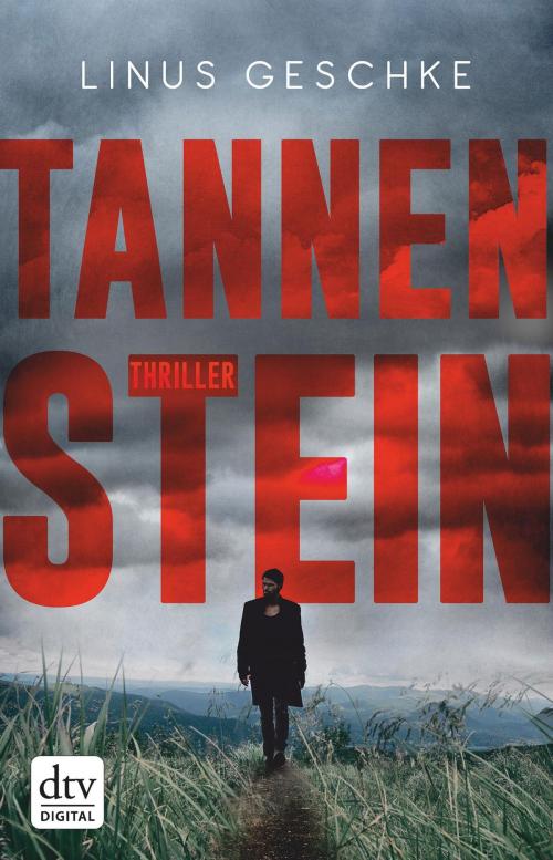 Cover of the book Tannenstein by Linus Geschke, dtv