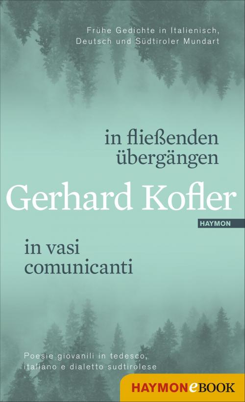 Cover of the book in fließenden übergängen | in vasi comunicanti by Gerhard Kofler, Haymon Verlag